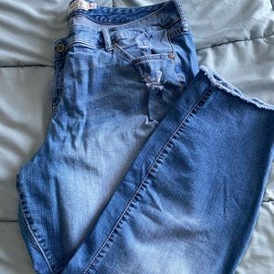 Torrid jeans